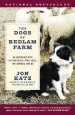 Audiobook The Dogs of Bedlam Farm: An Adventure With Sixteen Sheep, Three Dogs, two Donkeys, and me author Jon Katz
