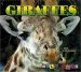 Audiobook Giraffes author Jill Anderson