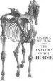 Audiobook Anatomy of the Horse author George Stubbs