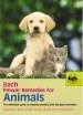 Audiobook Bach Flower Remedies for Animals author Judy Howard