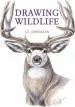 Audiobook Drawing Wildlife author J. C. Amberlyn