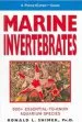 Audiobook Marine Invertebrates author Ronald L. Shimek