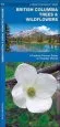 Audiobook British Columbia Trees & Wildflowers: A Folding Pocket Guide to Familiar Plants author James Kavanagh