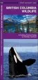 Audiobook British Columbia Wildlife: A Folding Pocket Guide to Familiar Species author James Kavanagh