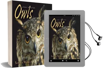 Owls - Animal Predators Audiobook download free by Sandra Markle