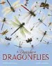 Audiobook A Dazzle of Dragonflies author Forrest L. Mitchell