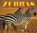 Audiobook Zebras author Jill Anderson