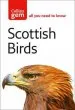 Audiobook Scottish Birds author Valerie Thom