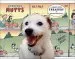 Audiobook Everyday Mutts: A Comic Strip Treasury author Patrick Mcdonnell
