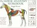 Audiobook The Horse Anatomy Workbook: A Learning aid for Students Based on Peter Goody'S Classic Work, Horse Anatomy author Maggie Raynor