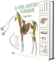 The Horse Anatomy Workbook: A Learning aid for Students Based on Peter Goody'S Classic Work, Horse Anatomy Audiobook download free by Maggie Raynor