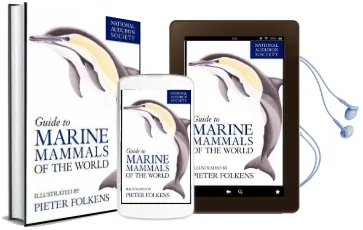 National Audubon Society Guide to Marine Animals of the World Audiobook download free by National Audubon Society