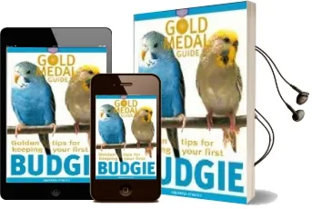 Budgie Audiobook download free by Amanda O'Neill