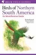 Audiobook Birds of Northern South America: Identification Guide v. 1: Species Accounts author Robin L. Restall