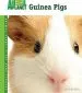 Audiobook Guinea Pigs author Julie Mancini