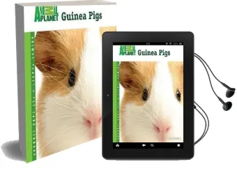 Guinea Pigs Audiobook download free by Julie Mancini