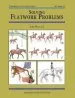 Audiobook Solving Flatwork Problems author Jane Wallace