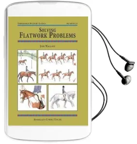 Solving Flatwork Problems Audiobook download free by Jane Wallace