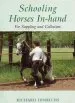 Audiobook Schooling Horses in Hand author Richard Hinrichs