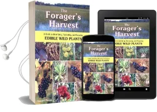 The Forager'S Harvest: A Guide to Identifying, Harvesting, and Preparing Edible Wild Plants Audiobook download free by Samuel Thayer