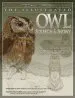 Audiobook The Illustrated owl: Screech and Snowy - the Ultimate Reference Guide for Bird Lovers, Woodcarvers and Artists author Denny Rogers