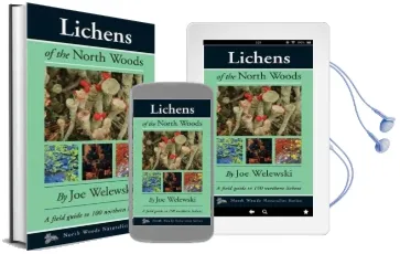 Lichens of the North Woods Audiobook download free by Joe Walewski