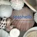 Audiobook Seashells author Josie Iselin