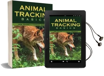 Animal Tracking Basics Audiobook download free by Jon Young
