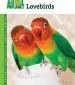 Audiobook Lovebirds author Julie Mancini