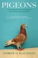 Audiobook Pigeons: The Fascinating Saga of the World'S Most Revered and Reviled Bird author Andrew D. Blechman