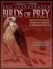 Audiobook The Illustrated Birds of Prey: Red Tailed Hawk, American Kestrel and Peregrine Falcon author Denny Rogers