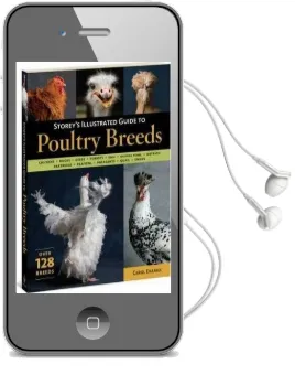 Storeys Illustrated Guide to Poultry Breeds Audiobook download free by Carol Ekarius