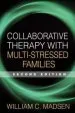 Audiobook Collaborative Therapy With Multi-Stressed Families, Second Edition author William C. Madsen