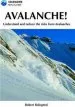 Audiobook Avalanche!: A Pocket Guide to Understanding and Reducing Risks From Avalanches author Robert Bolognesi