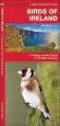 Audiobook Ireland Birds: A Folding Pocket Guide to Familiar Species author James Kavanagh
