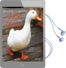 Choosing and Keeping Ducks and Geese: A Beginners Guide to Identification, Care, and Husbandry of Over 35 Species Audiobook download free by Liz Wright
