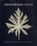 Audiobook Extraordinary Leaves author Stephen Green Armytage