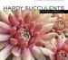Audiobook Hardy Succulents author Gwen Moore Kelaidis