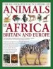 Audiobook Illustrated Encyclopedia of Animals of Africa, Britain and Europe author Tom Jackson