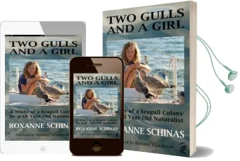 Two Gulls and a Girl: A Study of a Seagull Colony by a 10 Year old Naturalist Audiobook download free by Roxanne Schinas
