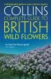 Audiobook British Wild Flowers: A Photographic Guide to Every Common Species author Paul Sterry
