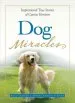 Audiobook Dog Miracles: Inspirational True Stories of Canine Heroism author Brad Steiger