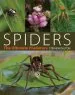 Audiobook Spiders: The Ultimate Predators author Stephen Dalton