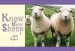 Audiobook Know Your Sheep author Jack Byard