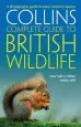 Audiobook British Wildlife: A Photographic Guide to Every Common Species author Paul Sterry