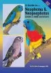 Audiobook Neophema and Neopsephotus Genera and Their Mutations author Alain Campagne
