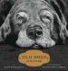 Audiobook Old Dogs: Are the Best Dogs author Gene Weingarten