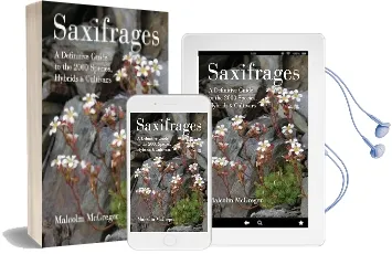 Saxifrages Audiobook download free by Malcolm Mcgregor