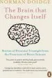 Audiobook The Brain That Changes Itself: Stories of Personal Triumph From the Frontiers of Brain Science author Norman Doidge