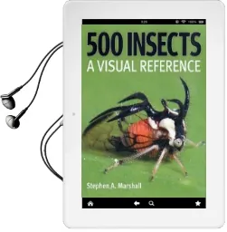 500 Insects: A Visual Reference Audiobook download free by Stephen A. Marshall